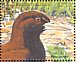 Woodford's Rail Hypotaenidia woodfordi  2004 BirdLife International, rails Sheet