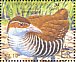 Roviana Rail Hypotaenidia rovianae  2004 BirdLife International, rails Sheet