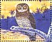 Guadalcanal Owl Athene granti  2004 BirdLife International, owls and nightjars Sheet