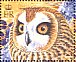 Fearful Owl  Asio solomonensis