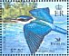 Melanesian Kingfisher Todiramphus tristrami  2004 BirdLife International, kingfishers Sheet