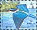 Melanesian Kingfisher  Todiramphus tristrami