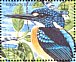 North Solomons Dwarf Kingfisher Ceyx meeki  2004 BirdLife International, kingfishers Sheet
