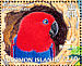 Moluccan Eclectus  Eclectus roratus