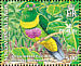 Yellow-bibbed Fruit Dove Ptilinopus solomonensis  2005 BirdLife International, pigeons Sheet