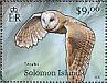 Western Barn Owl Tyto alba