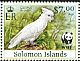 Solomons Cockatoo Cacatua ducorpsii