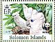 Solomons Cockatoo Cacatua ducorpsii