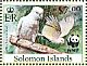 Solomons Cockatoo Cacatua ducorpsii