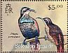 Paradise Riflebird Ptiloris paradiseus  2013 Birds Sheet