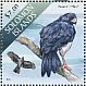 Imitator Goshawk Accipiter imitator  2013 Water birds Sheet