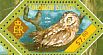 Eurasian Scops Owl Otus scops  2014 World of owls Sheet