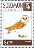 Western Barn Owl Tyto alba