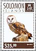 Western Barn Owl Tyto alba  2014 Owls  MS