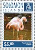 Chilean Flamingo Phoenicopterus chilensis  2014 Flamingos Sheet