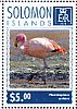 James's Flamingo Phoenicoparrus jamesi  2014 Flamingos Sheet