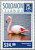 Greater Flamingo Phoenicopterus roseus  2014 Flamingos  MS