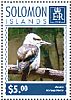 Laughing Kookaburra Dacelo novaeguineae  2014 Kingfishers Sheet