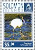 Australian White Ibis Threskiornis molucca  2014 Ibis Sheet