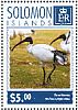 Australian White Ibis Threskiornis molucca  2014 Ibis Sheet