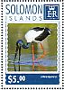 Black-necked Stork Ephippiorhynchus asiaticus