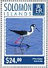 Black-necked Stilt Himantopus mexicanus  2014 Waterbirds  MS