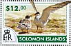 Little Tern Sternula albifrons  2015 Terns Sheet