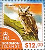 Indian Scops Owl Otus bakkamoena  2015 Owls Sheet