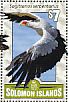 Secretarybird Sagittarius serpentarius