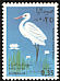 Great Egret Ardea alba