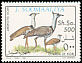 Kori Bustard Ardeotis kori  1993 Birds 