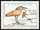 Hamerkop Scopus umbretta