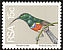 Greater Double-collared Sunbird Cinnyris afer