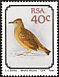 Rufous-naped Lark Mirafra africana  1990 Birds 