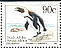 African Penguin Spheniscus demersus