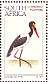 Saddle-billed Stork  Ephippiorhynchus senegalensis