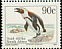 African Penguin Spheniscus demersus