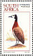 White-faced Whistling Duck Dendrocygna viduata  1997 Junass  MS