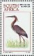 Purple Heron Ardea purpurea