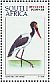 Saddle-billed Stork Ephippiorhynchus senegalensis