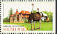 Common Ostrich Struthio camelus  1998 The Western Cape 5v booklet