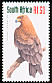 Tawny Eagle Aquila rapax