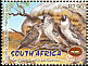 Sociable Weaver Philetairus socius  2001 Kgalagadi transfrontier park 4v set