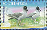 Light-mantled Albatross Phoebetria palpebrata  2009 Preserve the polar regions and glaciers 2v sheet