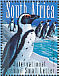 African Penguin Spheniscus demersus