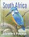 Half-collared Kingfisher Alcedo semitorquata  2016 Kingfishers Sheet with 2 sets, sa