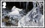 Snow Petrel Pagodroma nivea