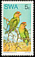 Rosy-faced Lovebird Agapornis roseicollis