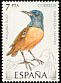 Common Rock Thrush Monticola saxatilis  1985 Birds 