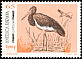 Black Stork Ciconia nigra  1993 America 